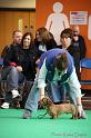 Crufts2011_2 686